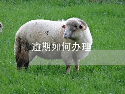 逾期如何办理 逾期如何办理