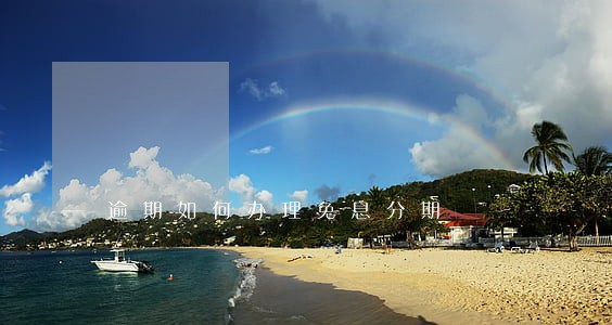 逾期如何办理免息分期 逾期如何办理免息分期