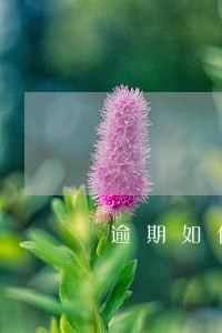 逾期如何办理免息分期付款 逾期如何办理免息分期付款