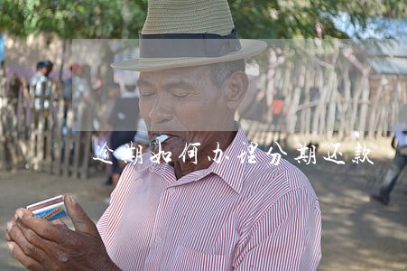 逾期如何办理分期还款 逾期如何办理分期还款