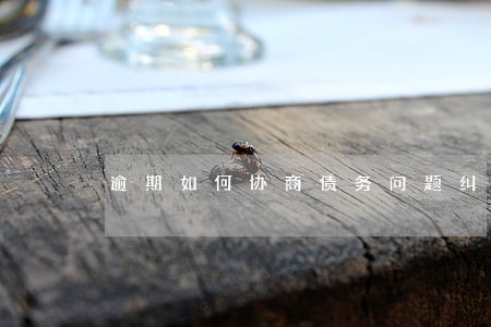 逾期如何协商债务问题纠纷 逾期如何协商债务问题纠纷