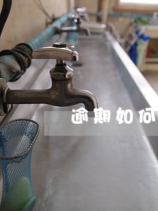 逾期如何协商只还本金