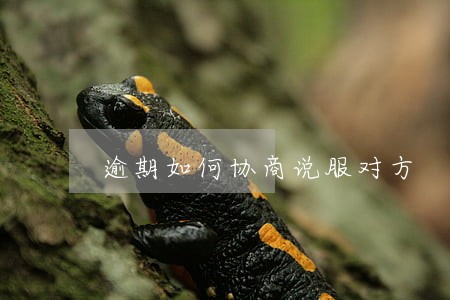 逾期如何协商说服对方 逾期如何协商说服对方