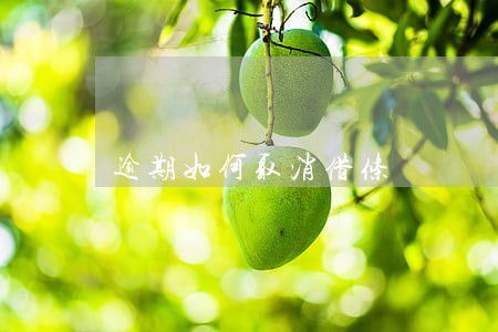 逾期如何取消借条 逾期如何取消借条