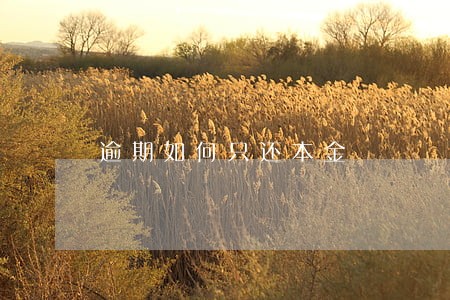 逾期如何只还本金 逾期如何只还本金