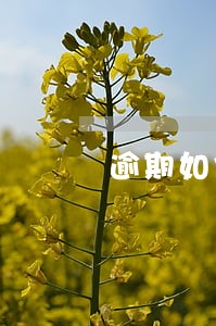 逾期如何告知家人 逾期如何告知家人