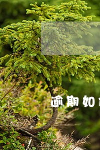 逾期如何和家人说 逾期如何和家人说