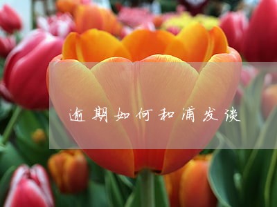逾期如何和浦发谈 逾期如何和浦发谈