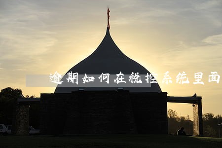 逾期如何在税控系统里面抄报税 逾期如何在税控系统里面抄报税
