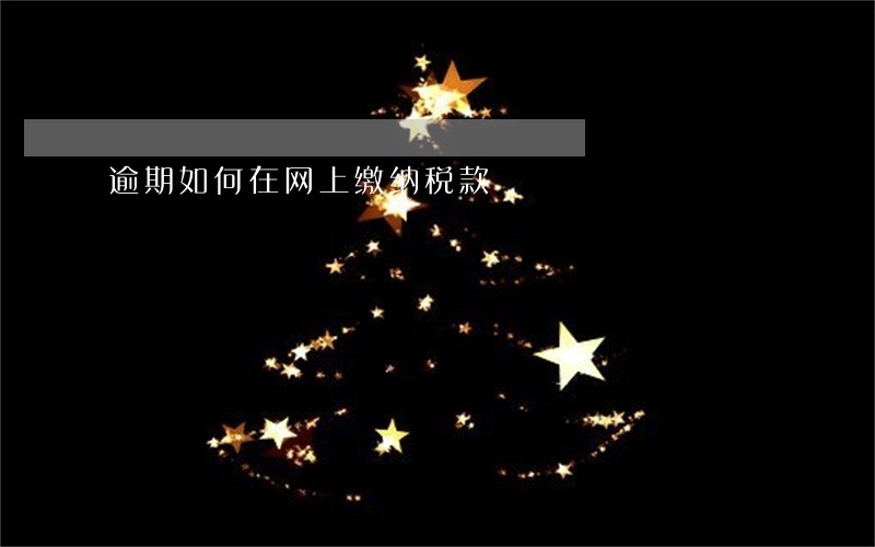 逾期如何在网上缴纳税款 逾期如何在网上缴纳税款