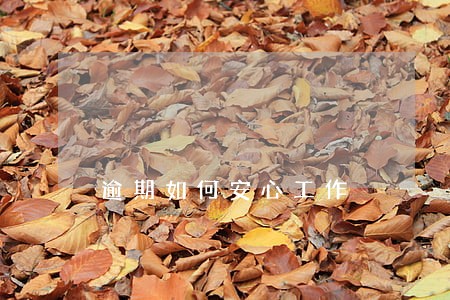 逾期如何安心工作 逾期如何安心工作