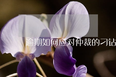 逾期如何应对仲裁的刁钻问题 逾期如何应对仲裁的刁钻问题