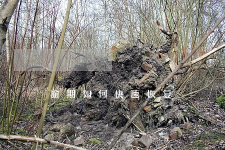逾期如何快速恢复 逾期如何快速恢复