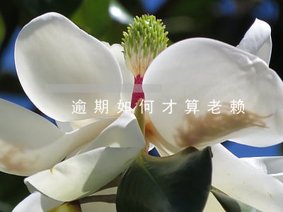 逾期如何才算老赖 逾期如何才算老赖