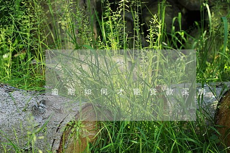 逾期如何才能贷款买房 逾期如何才能贷款买房