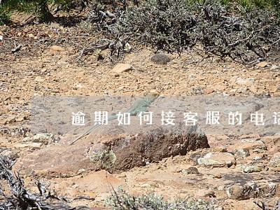 逾期如何接客服的电话 逾期如何接客服的电话