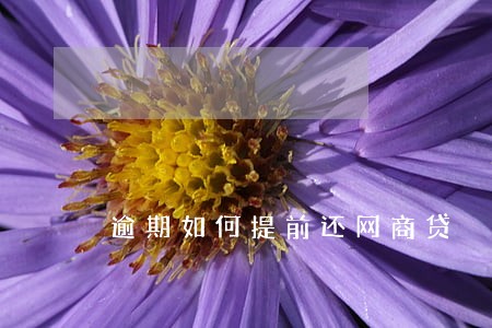 逾期如何提前还网商贷 逾期如何提前还网商贷