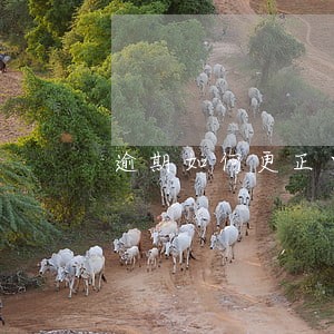 逾期如何更正申报 逾期如何更正申报