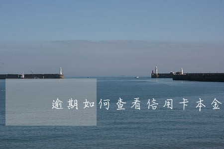 逾期如何查看信用卡本金 逾期如何查看信用卡本金