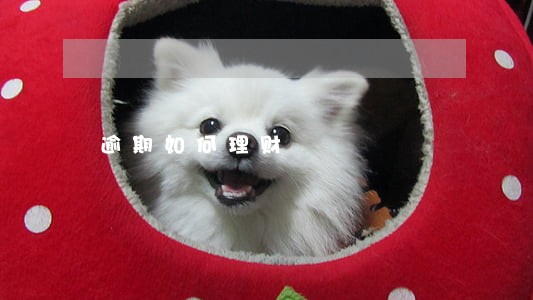 逾期如何理财 逾期如何理财