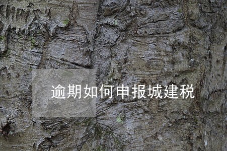 逾期如何申报城建税 逾期如何申报城建税
