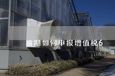逾期如何申报增值税6