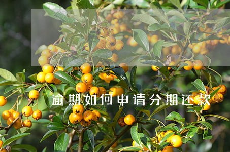 逾期如何申请分期还款 逾期如何申请分期还款