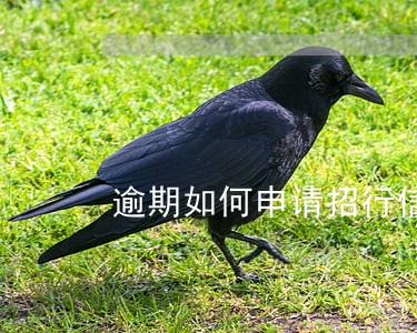 逾期如何申请招行信用卡提额度