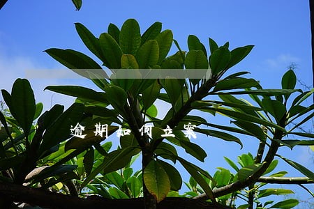 逾期如何立案 逾期如何立案