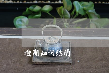 逾期如何结清 逾期如何结清