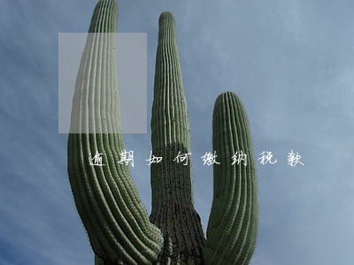 逾期如何缴纳税款 逾期如何缴纳税款