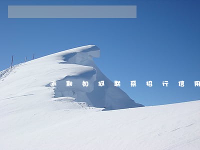 逾期如何联系招行信用卡