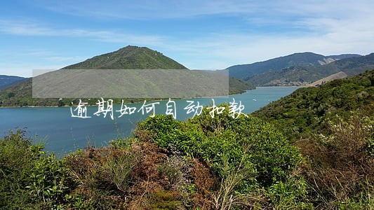 逾期如何自动扣款 逾期如何自动扣款
