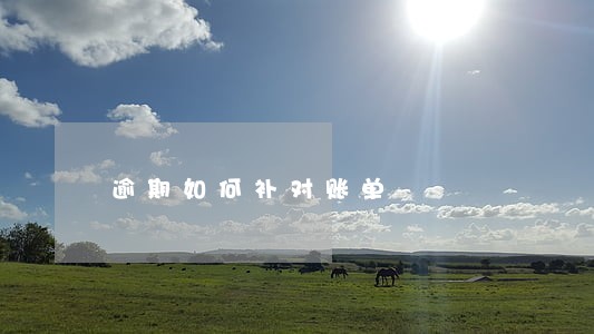 逾期如何补对账单 逾期如何补对账单
