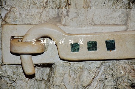逾期如何补救 逾期如何补救
