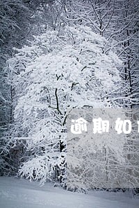 逾期如何让芝麻分涨好了 逾期如何让芝麻分涨好了