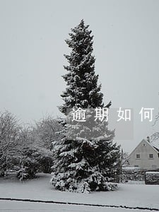 逾期如何跟借贷公司谈判 逾期如何跟借贷公司谈判