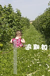逾期如何还公积金 逾期如何还公积金