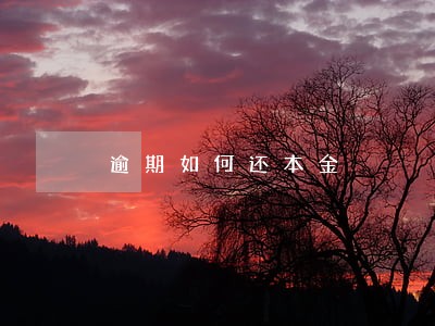 逾期如何还本金 逾期如何还本金