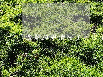 逾期如果清完了可以借款 逾期如果清完了可以借款