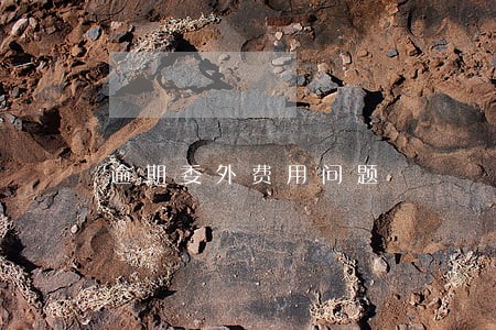 逾期委外费用问题 逾期委外费用问题