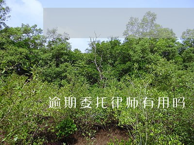 逾期委托律师有用吗 逾期委托律师有用吗