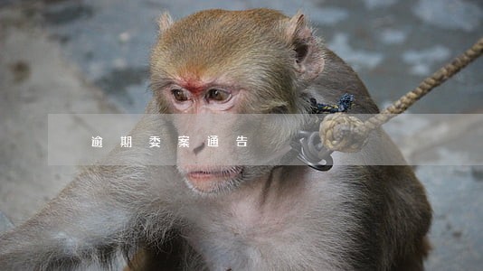 逾期委案通告 逾期委案通告