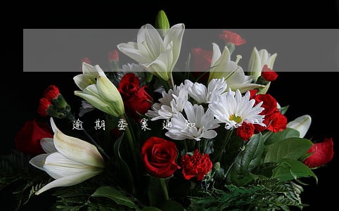 逾期委案通知 逾期委案通知