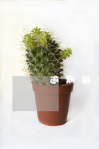 逾期威胁亲戚朋友暴露个人隐私 逾期威胁亲戚朋友暴露个人隐私