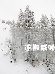 逾期威胁我发信息说上黑名单
