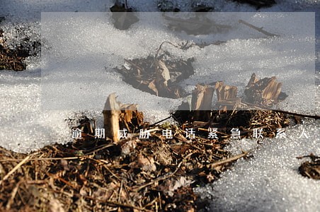 逾期威胁电话紧急联系人