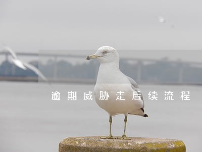 逾期威胁走后续流程 逾期威胁走后续流程