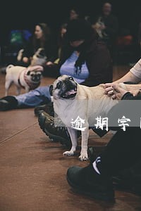 逾期字图片 逾期字图片