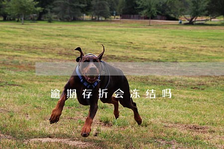 逾期存折会冻结吗 逾期存折会冻结吗